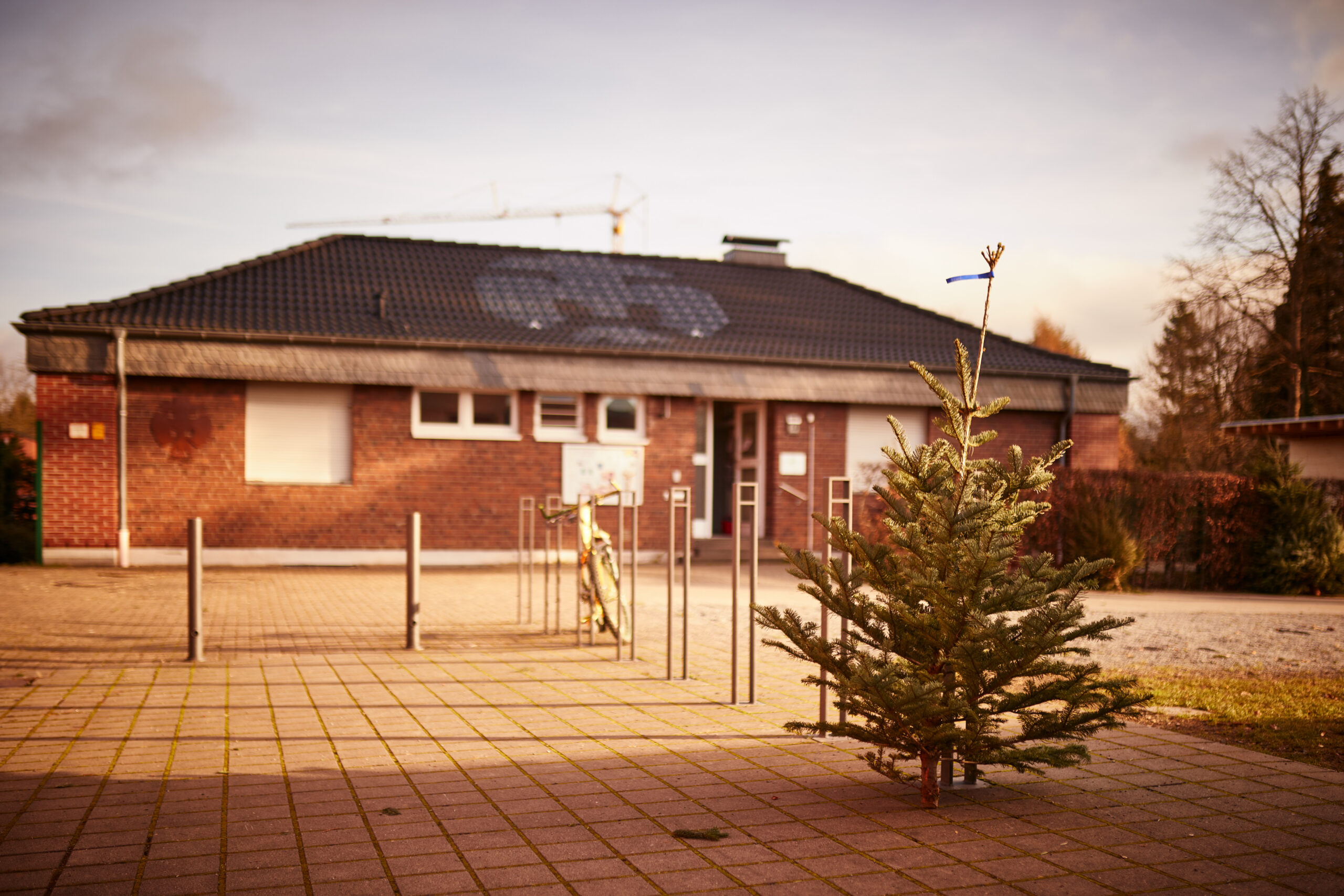 Christbaumaktion 2025 – Bio-Tannen aus dem Sauerland